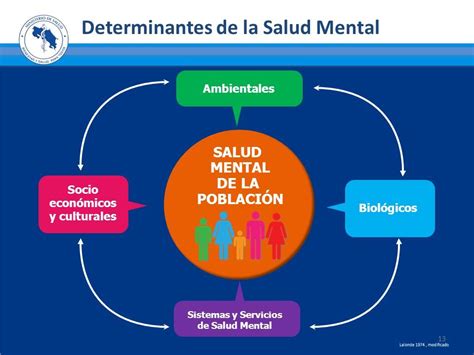 Determinantes De La Salud Mapa Conceptual Images And Photos Finder