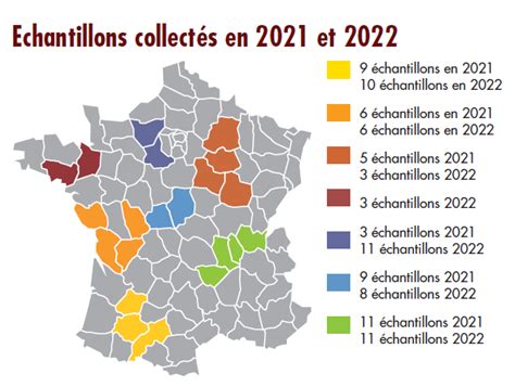 Lentille Une Qualité Hétérogène Marquée Par Des Conditions