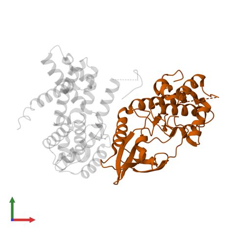 Pdb W Gallery Protein Data Bank In Europe Pdbe Embl Ebi