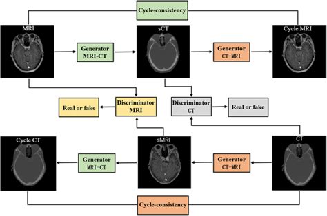 Schematic flowchart of cycleGAN. Two cycles are formed in cycleGAN. Two ...