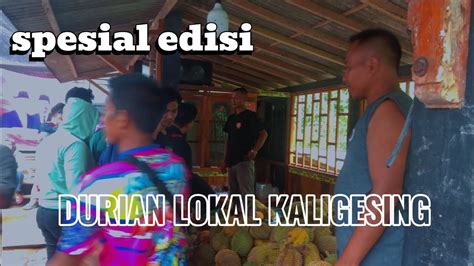 VLOG PASAR DURIAN KALIGESING DURIAN LOKAL KALIGESING PURWOREJO MANTAP