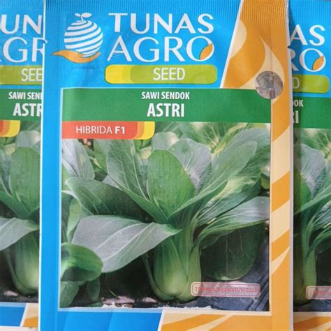 Jual Benih Sawi Sendok Astri F Gram Tunas Agro Shopee Indonesia