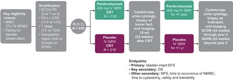 Efficacy And Safety Of Pembrolizumab MK 3475 In Combination With