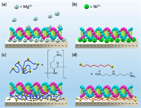 Figure 1 From Magnesium Free Immobilization Of DNA Origami