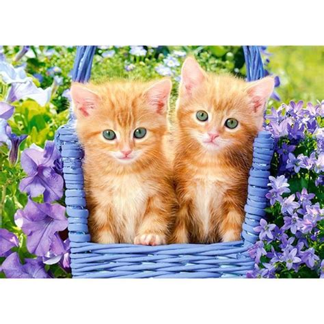 Puzzle Animaux Castorland Chatons Roux Pi Ces Blanc A