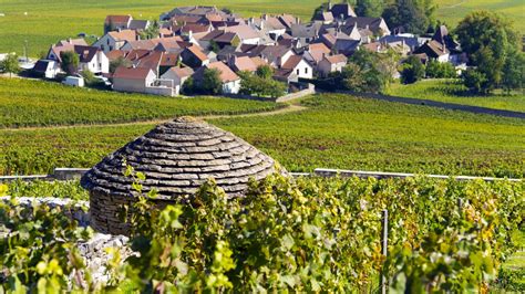 The Côte de Nuits between Dijon and Beaune La Bourgogne