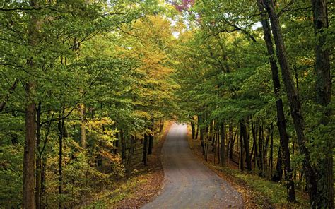 Autumn Roads Forests Trees Hd Wallpaper Rare Gallery