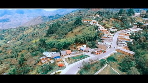 En Su Cumpleaños 111 Asómbrate Le Obsequió 1000 árboles Al Municipio