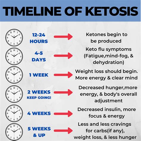 Timeline Of Ketosis : r/LowCarbKeto_Recipes