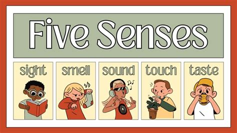 Five Senses | Worksheet | Learn with Ashaz