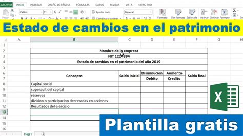 Introducir 57 Imagen Estado De Situacion Patrimonial Modelo Excel