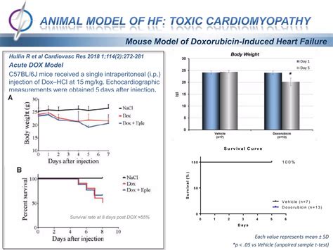 Nonclinical Models Of Heart Failure Doxorubicin Cardiomyopathy Ppt