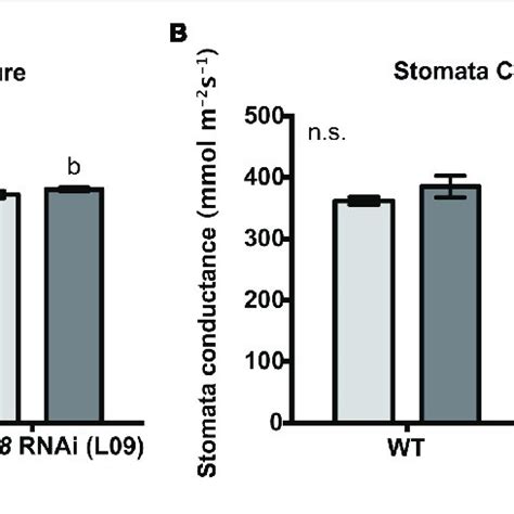 Shoot Biomass A Root Biomass B And Root Shoot Biomass Ratio C