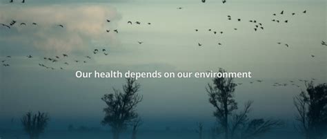 Announcing The New Planetary Health Alliance Website By Planetary