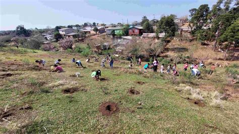 Projeto Floresta Inicia Restaura O Ecol Gica Na Ti Toldo Imb Em