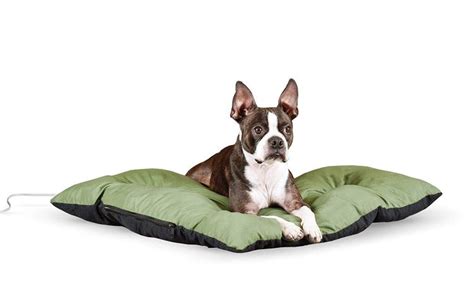 Heated Pet Beds That'll Keep Your Dogs and Cats Toasty All Winter Long