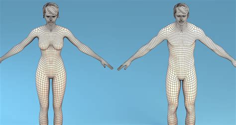 3d Model Base Mesh Character Male Or Female Vr Ar Low Poly Cgtrader