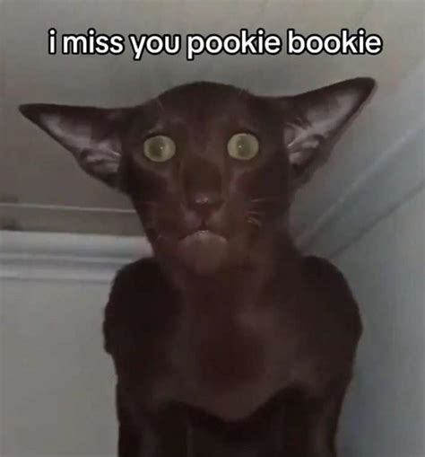 Pookie Know Your Meme