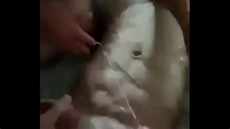 Corrida Encima Xvideos