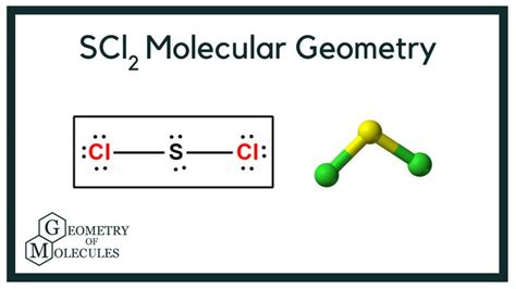 SCl2 Molecular Geometry (Sulfur Dichloride) | Molecular geometry ...