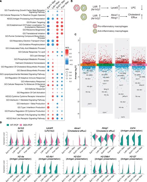 Integrated Multi Omics Analyses Reveal The Altered Transcriptomic