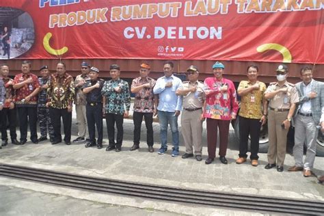 Perdana Ekspor Senilai 52 4 Ton Rumput Laut Tarakan Ke Vietnam