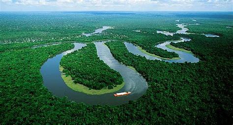 Amazonía peruana deforestan 45 000 hectáreas de bosque en lo que va de