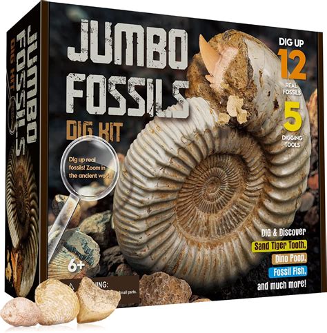 XXTOYS Jumbo Kit De Fossiles Fossiles Jeu Enfants Fouilles Et