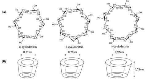 Structural Organization Of Cyclodextrins A α Cyclodextrin Formed By Download Scientific