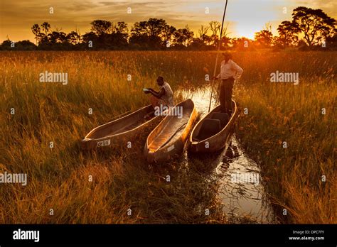 Two Native Guides With Makoro Dugout Canoes Highlighted By Orange Glow