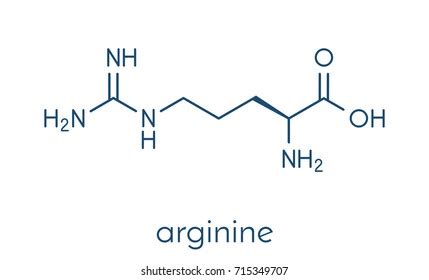 638 Arginine Molecule Images, Stock Photos, 3D objects, & Vectors ...