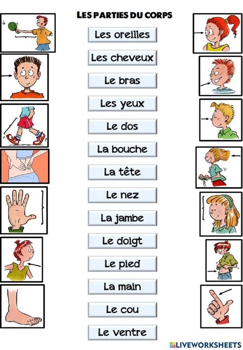 Les parties du corps online worksheet for 5º Primaria. You can do the ...