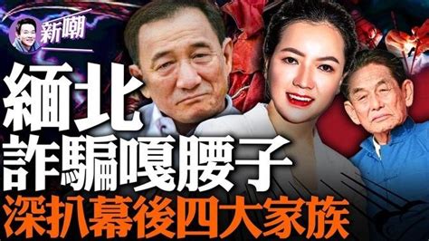 「煞猪盘」大揭密！缅北「嘎腰子园区」幕后老板竟是个蛇蝎美女！这些美貌网红竟都是诈骗集团的诱饵！深度揭秘「果敢王」和缅北四大家族的由来！『新闻最