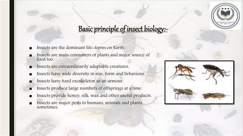 Forensic Entomology Ppt