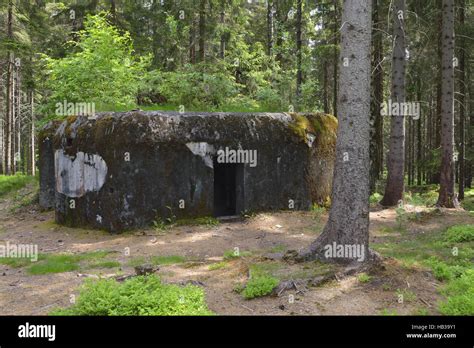 Wehrmacht Heer Farbe Fotos Und Bildmaterial In Hoher Aufl Sung Alamy