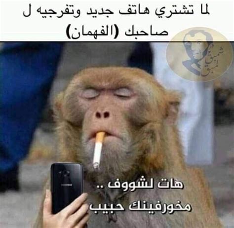 「مرات الحفظ السريع」おしゃれまとめの人気アイデア｜pinterest｜معلومة مفيدة