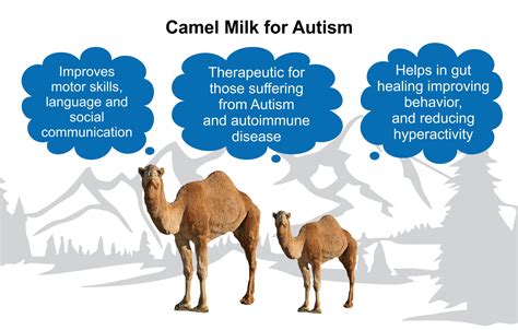 What Is Camel Milk Autism Connect