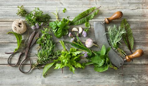 Cooking With Herbs The Guide To Your First Steps Sodelicious