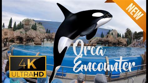 Shamu Show Orca Encounter At Seaworld San Diego 4k 2020 Ultra