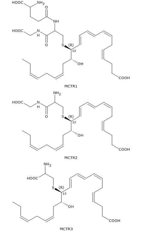 Docosahexaenoic Acid Tuscany Diet