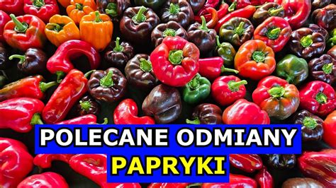 Polecane Odmiany Papryki Papryka S Odka I Papryka Ostra Najlepsze