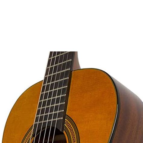 Rollins Epiphone Pro Classic Nylon String Guitar Gib Eapcanch