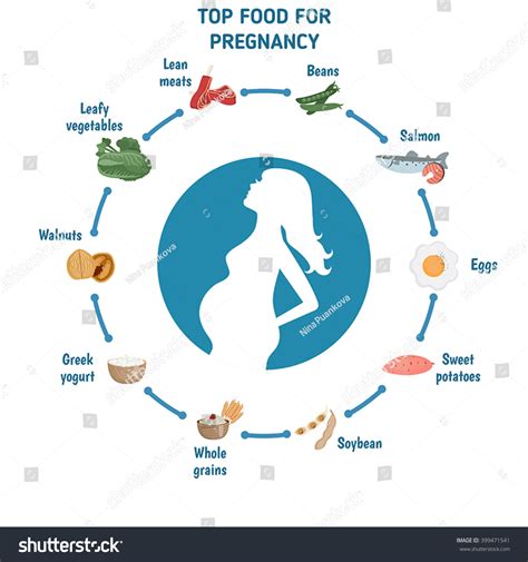 Pregnant Woman Diet Infographic Silhouette Pregnant Stock Vector Royalty Free 399471541