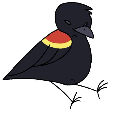 Red Winged Blackbird Bird Nature Transparent Png