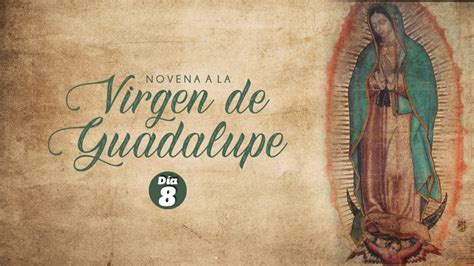 Novena a la Virgen de Guadalupe | 8º Día - Reze con nosotros