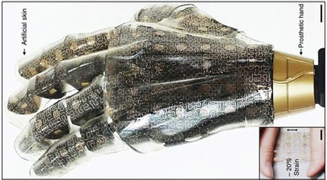 Stretchable Artificial Skin Can Give Prosthetics The Sense Of Touch