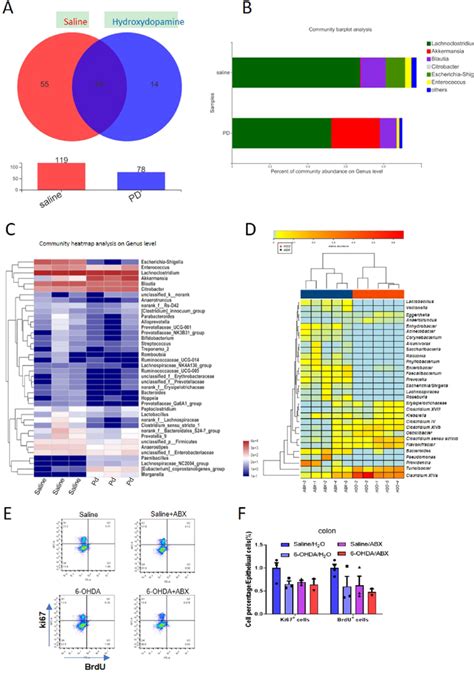 Disruption Of The Nigrostriatal DA Pathway Causes Gut Microbiota