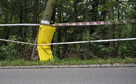 Mort De Muriel Furrer Ce Que L’on Sait Des Circonstances De L’accident De La Coureuse Suisse