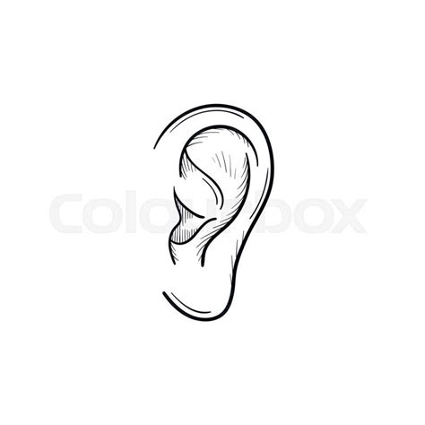 Human Ear Hand Drawn Outline Doodle Stock Vector Colourbox