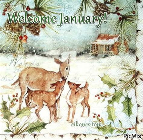 Welcome January! - PNG gratuit - PicMix